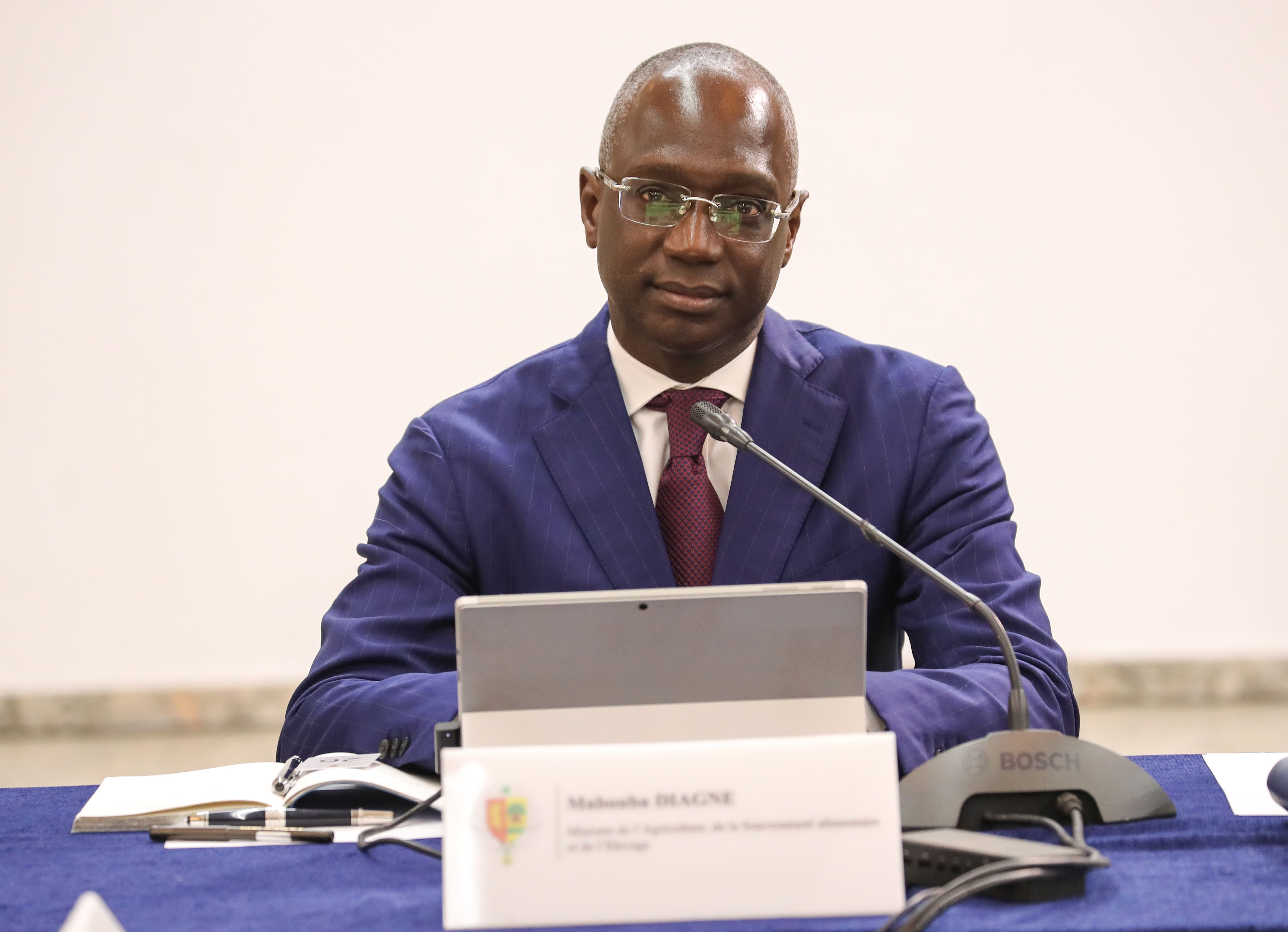 Mabouba Diagne